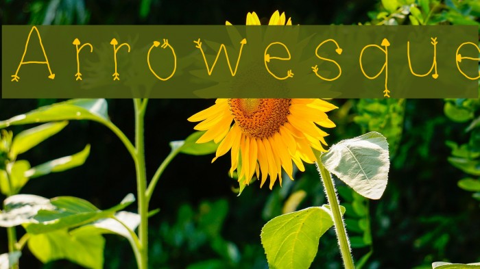 Arrowesque Font examples
