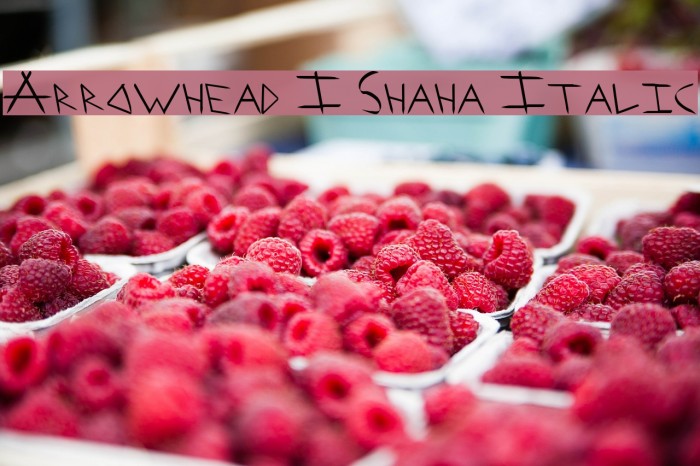 Arrowhead I Shaha Italic Font examples