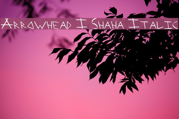 Arrowhead I Shaha Italic Font examples