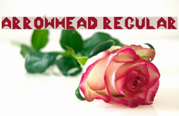 Arrowhead Regular Font examples