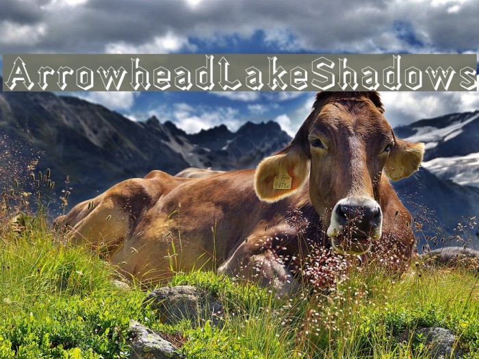 ArrowheadLakeShadows Font examples