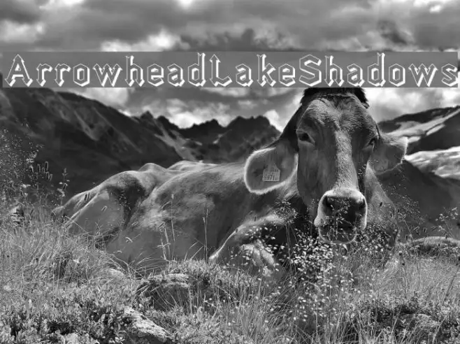 ArrowheadLakeShadows Example 2