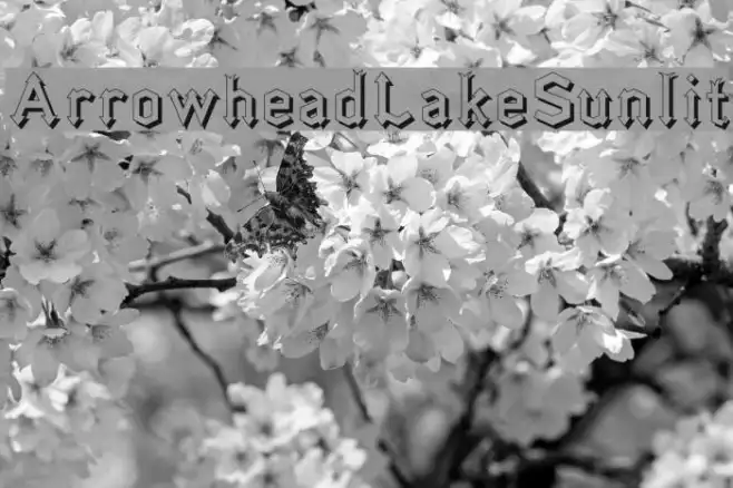ArrowheadLakeSunlit Example 3