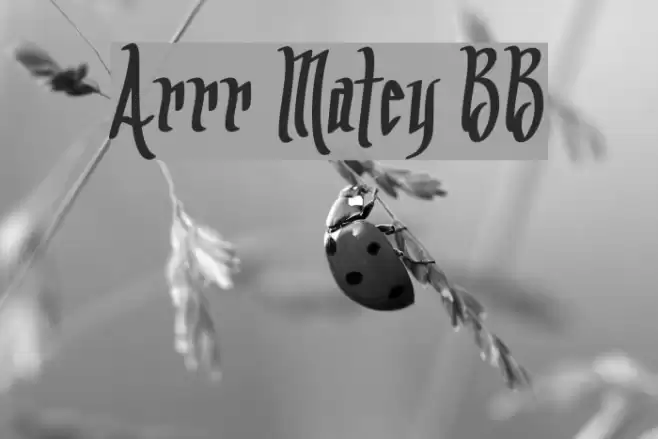 Arrr Matey BB Font examples