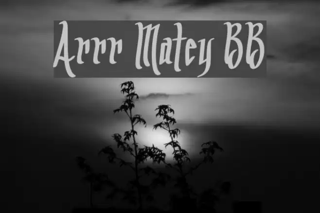 Arrr Matey BB Font examples