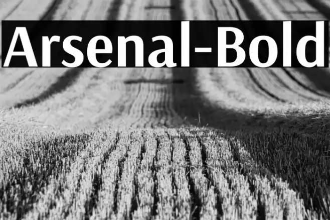 Arsenal-Bold Font examples