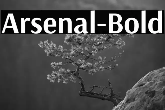 Arsenal-Bold Font examples