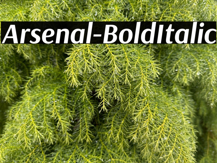 Arsenal-BoldItalic Example 2