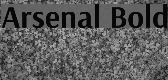 Arsenal Bold Font examples