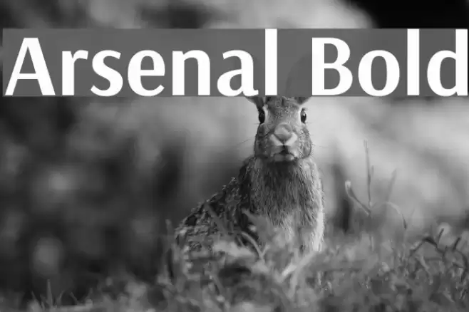 Arsenal Bold Font examples