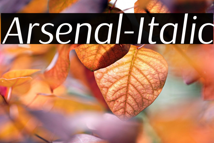 Arsenal-Italic Example 3