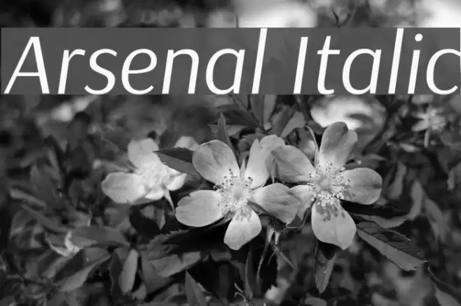 Arsenal Italic Font examples