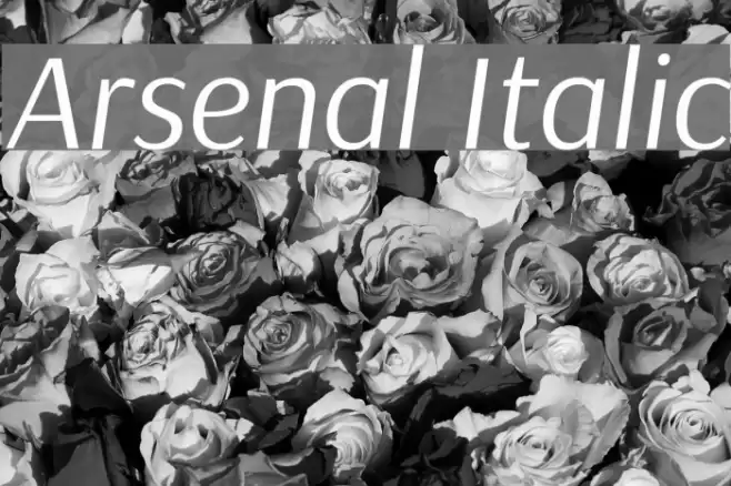 Arsenal Italic Font examples