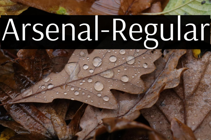 Arsenal-Regular Example 2