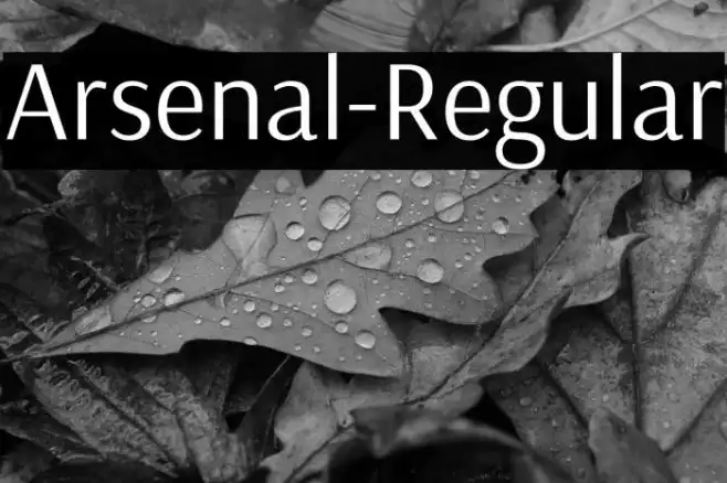 Arsenal-Regular Example 2