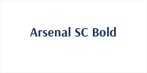 Arsenal SC Bold Logo