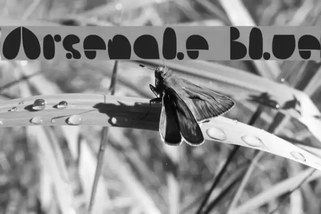 Arsenale Blue Font examples