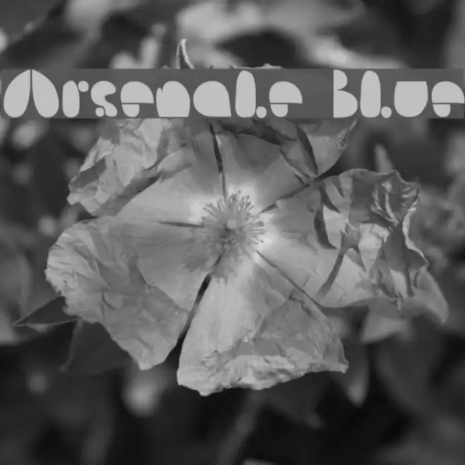 Arsenale Blue Font examples