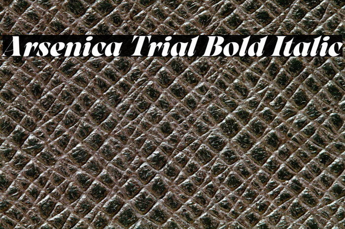 Arsenica Trial Bold Italic Example 2