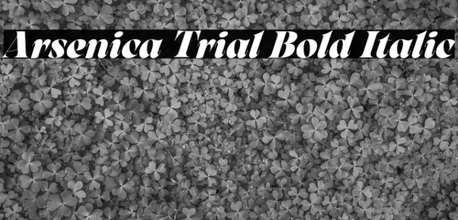 Arsenica Trial Bold Italic Font examples