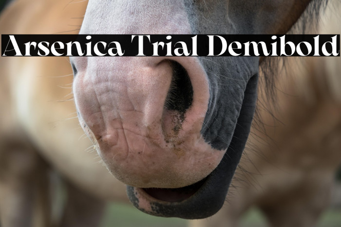 Arsenica Trial Demibold Example 1