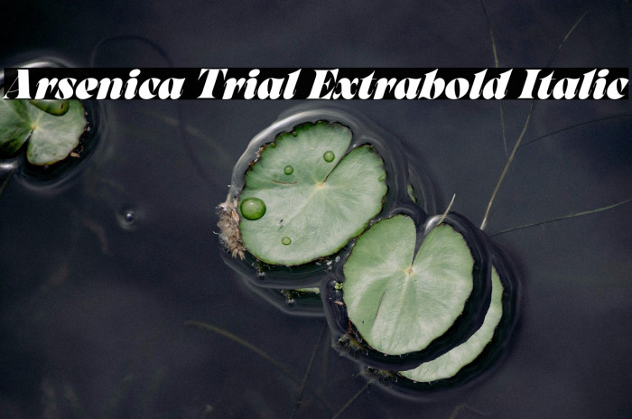 Arsenica Trial Extrabold Italic Example 1