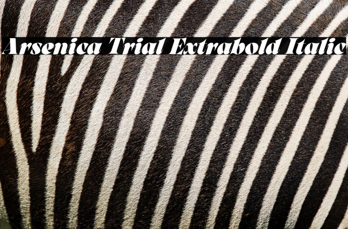 Arsenica Trial Extrabold Italic Example 2