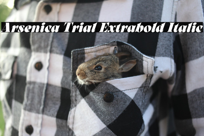 Arsenica Trial Extrabold Italic Example 3