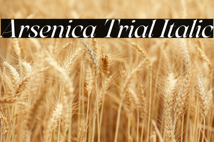 Arsenica Trial Italic Example 2