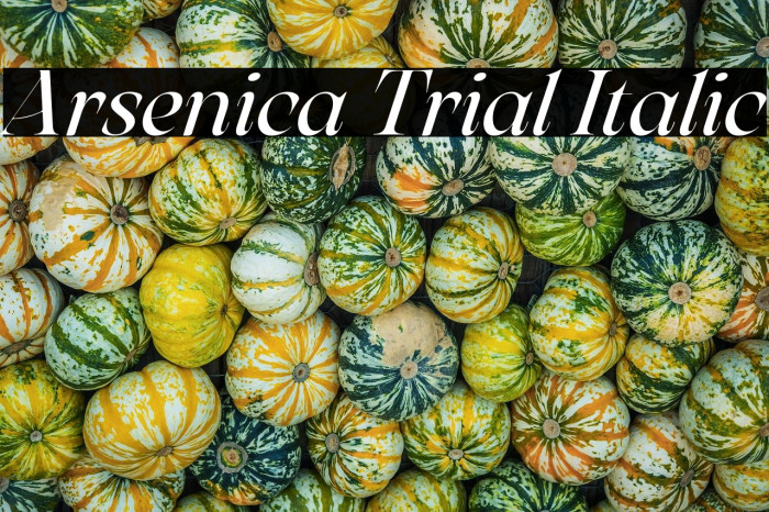 Arsenica Trial Italic Example 3