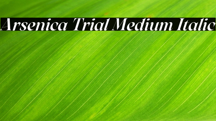 Arsenica Trial Medium Italic Example 1
