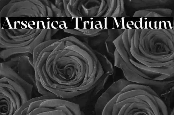 Arsenica Trial Medium Font examples