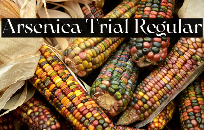 Arsenica Trial Regular Example 2