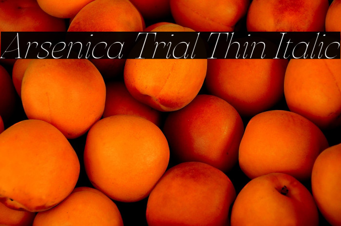 Arsenica Trial Thin Italic Example 1