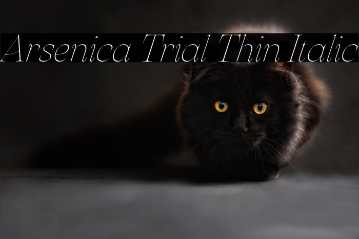 Arsenica Trial Thin Italic Example 2