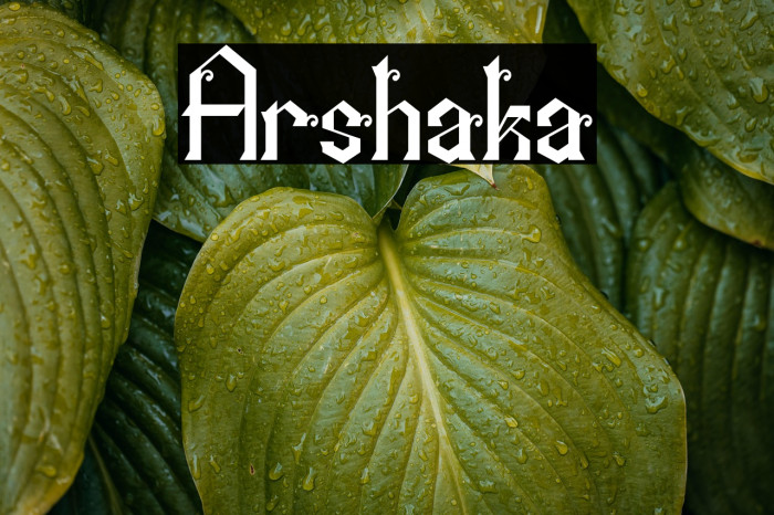 Arshaka Example 3