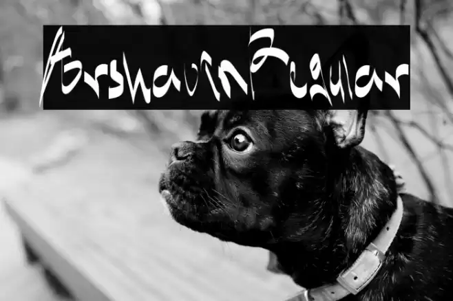 ArshavinRegular Font examples