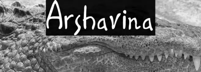 Arshavina Font examples