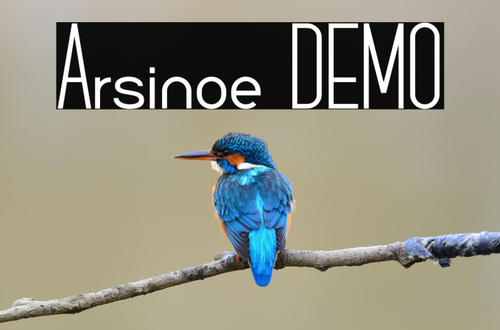 Arsinoe DEMO Example 1