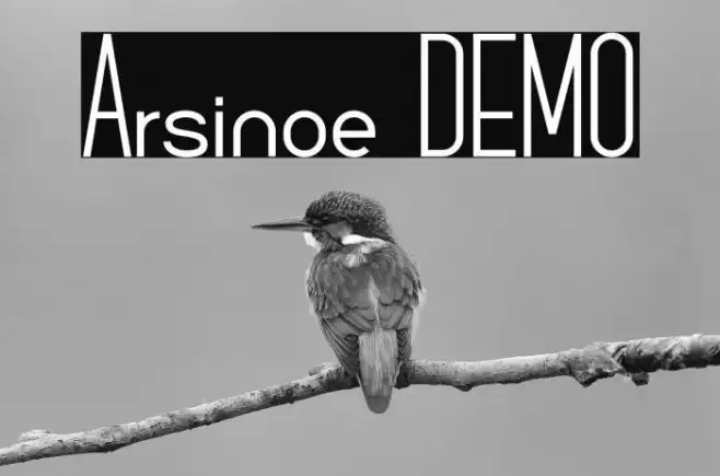 Arsinoe DEMO Example 1