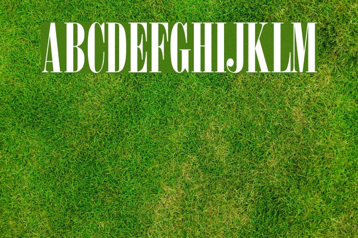 Arsis Font examples