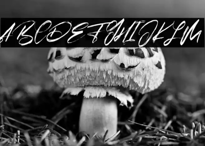 Arsitage Free Regular Font examples