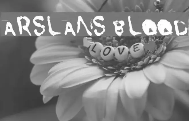 Arslans Blood Example 3