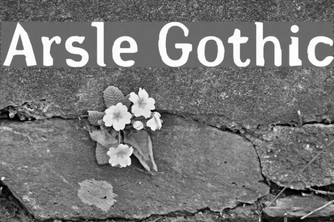 Arsle Gothic Font examples