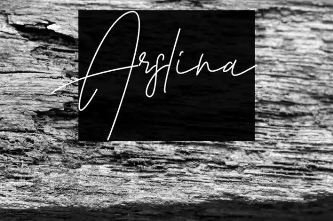 Arslina Example 2