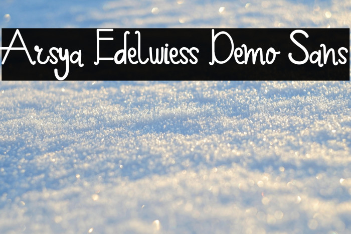 Arsya Edelwiess Demo Sans Example 1