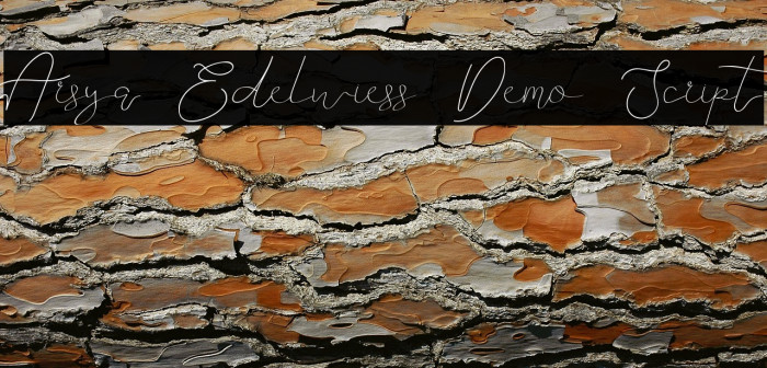Arsya Edelwiess Demo Script Example 1