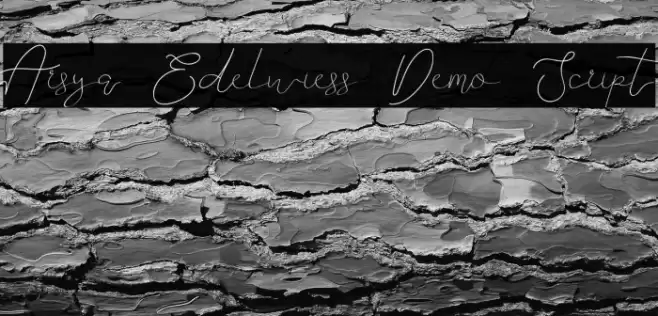 Arsya Edelwiess Demo Script Polices examples