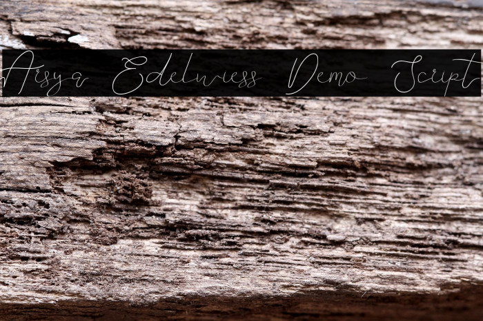 Arsya Edelwiess Demo Script Example 3