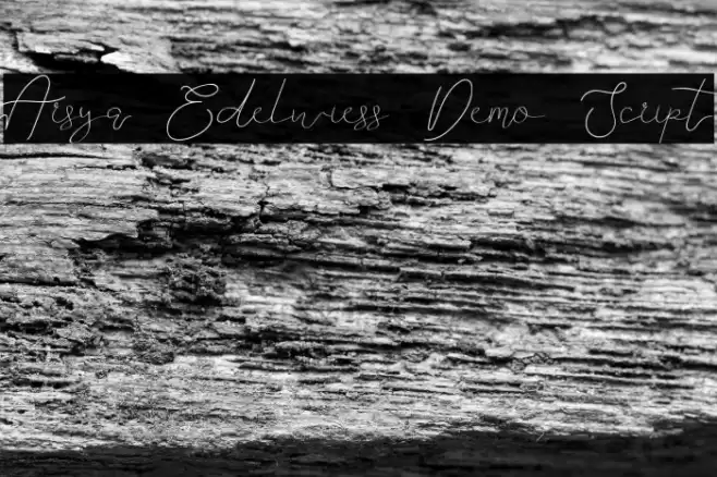 Arsya Edelwiess Demo Script Polices examples